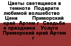  Цветы светящиеся в темноте! Подарите любимой волшебство! › Цена ­ 40 - Приморский край, Артем г. Свадьба и праздники » Услуги   . Приморский край,Артем г.
